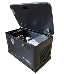 Газовый генератор CTG CG10000SA с АВР